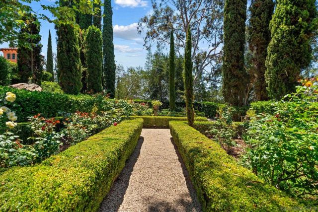 a view of park with large trees