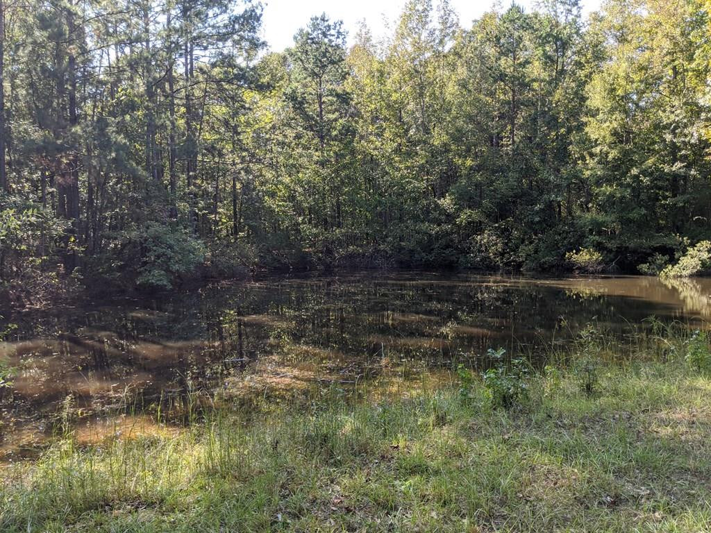 544 Ella McGehee Road Meadville, MS 39653 - Photo 1 of 38 Main View