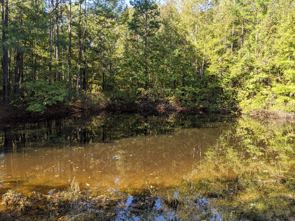 544 Ella McGehee Road Meadville, MS 39653 - Photo 4 of 38 Photo 4