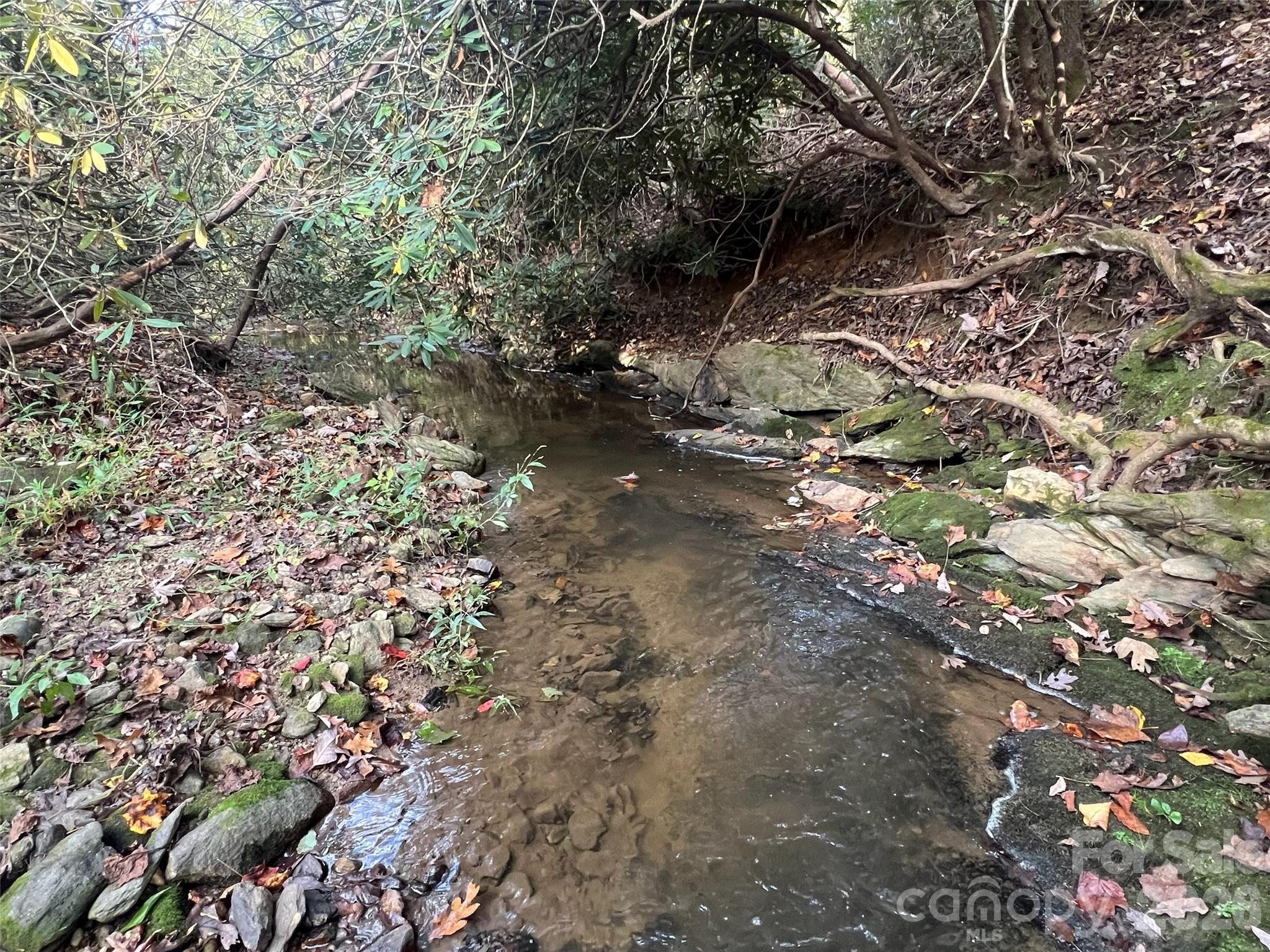 6 Dividing Ridge Trail, Unit 1 Arden, NC 28704 - Photo 11 of 18 a view of a forest with a tree