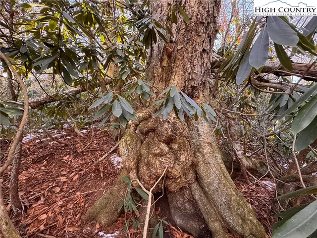 a backyard of a house with lots of green space and a fountain