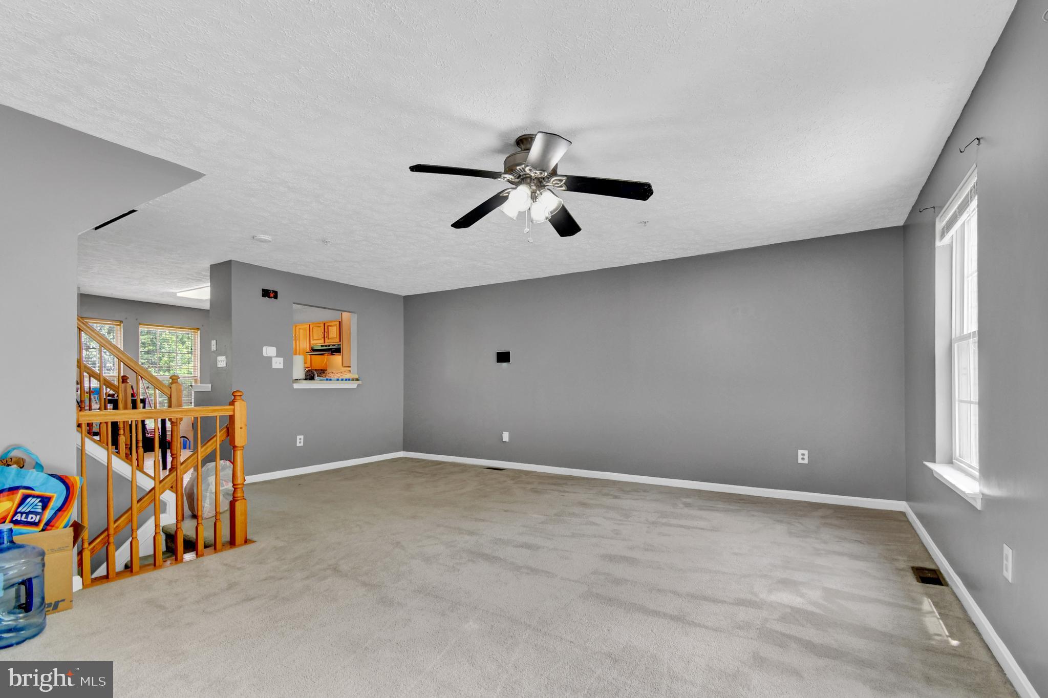 Dining Room-Living Room Combo