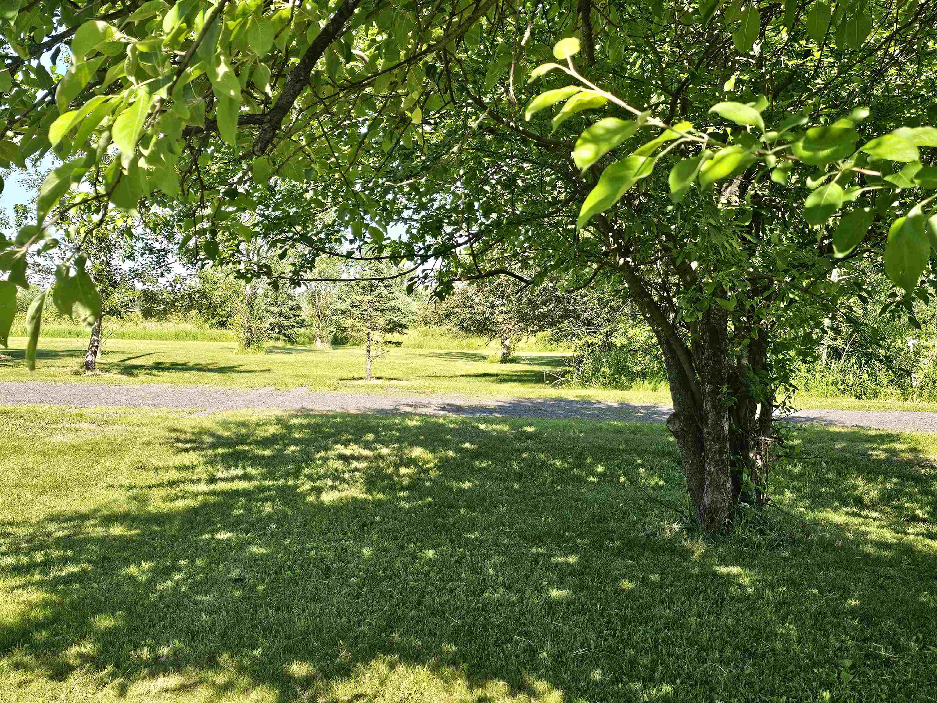 13179 County Rd FF Maple, WI 54854 - Photo 22 of 29 View of yard