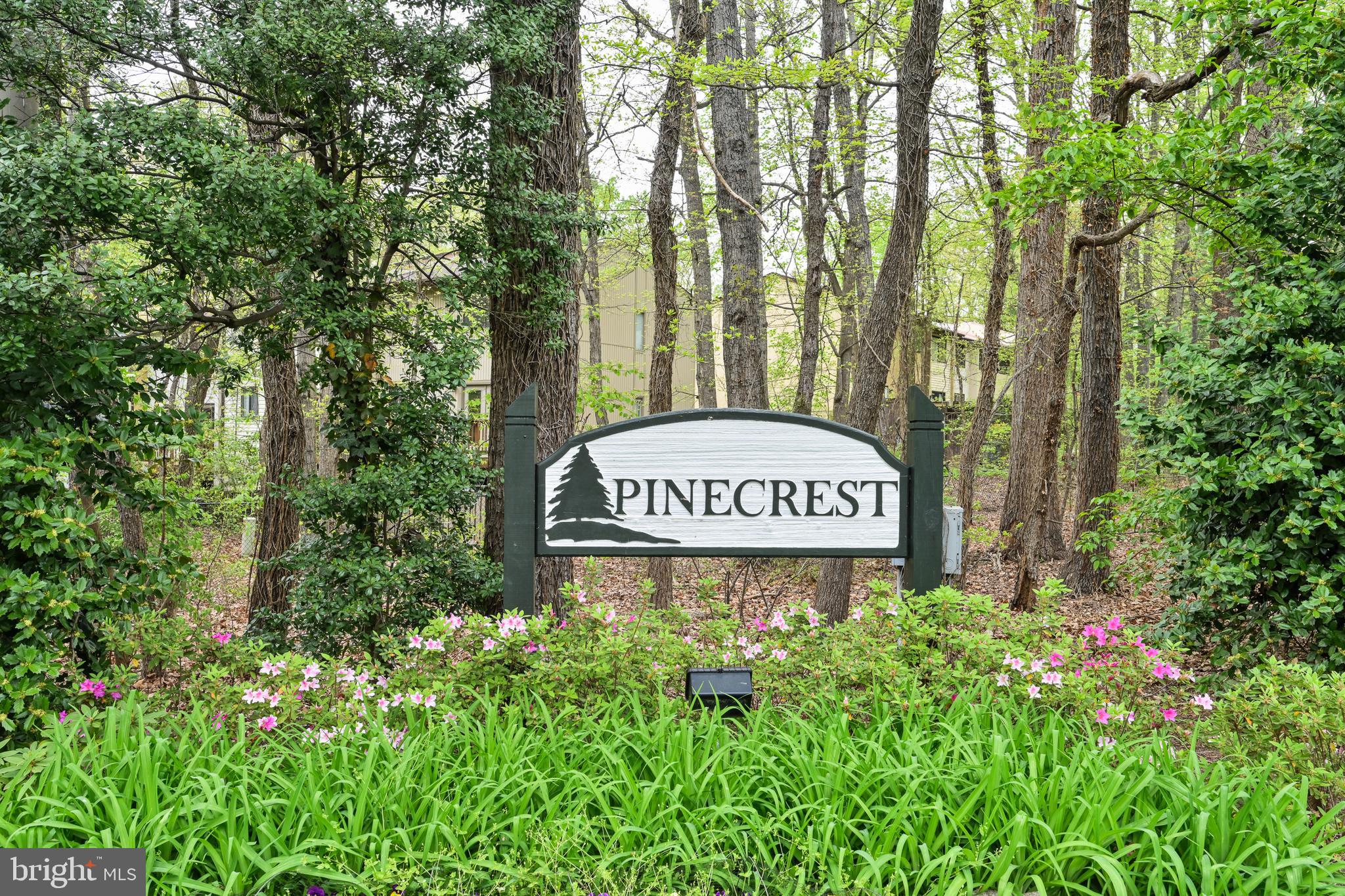 2426 Cloudcroft Square Reston, VA 20191 - Photo 29 of 31 Gallery Image 29