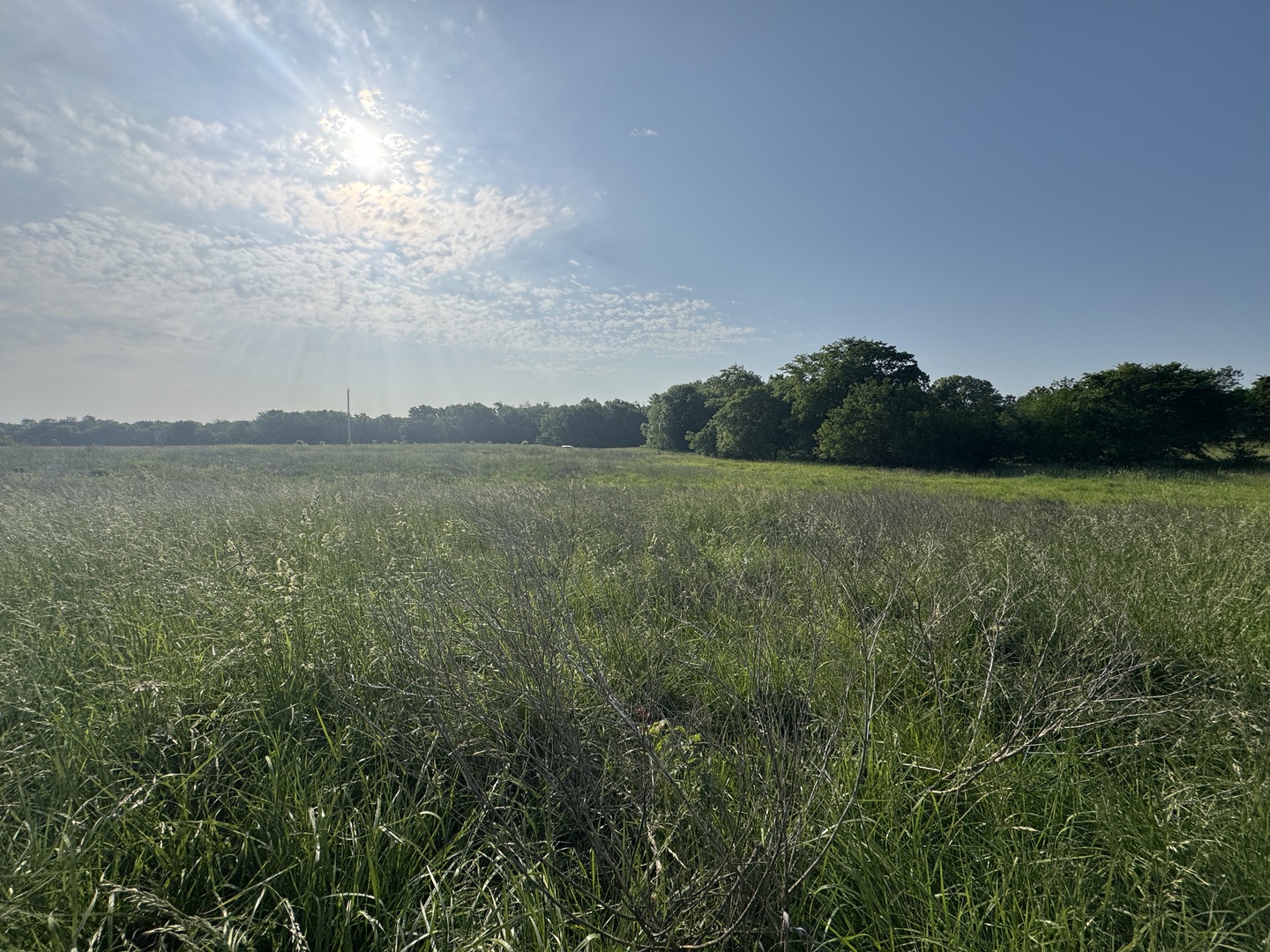 0 County Highway 29 Road Rinard, IL 62878 - Photo 24 of 28