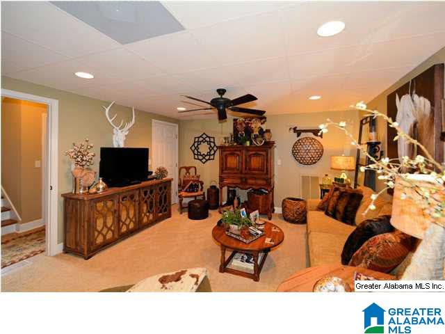 193 River Birch Road Chelsea, AL 35043 - Photo 18 of 21