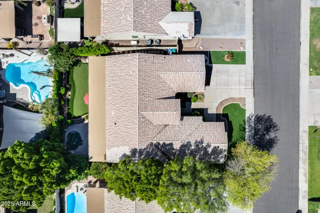 a potted plant sitting in front of a house