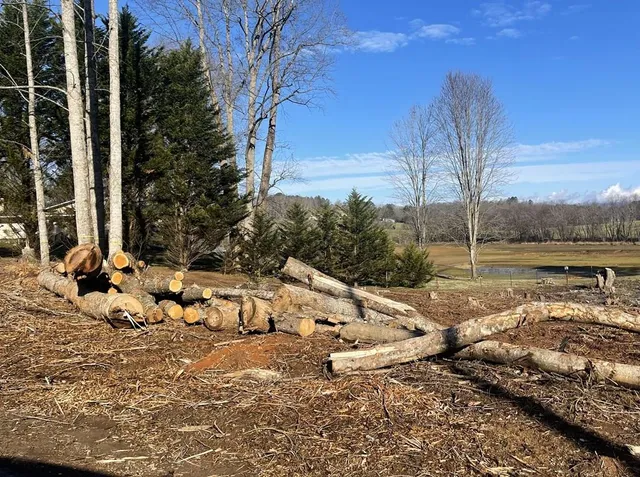 a view of a lake with a yard