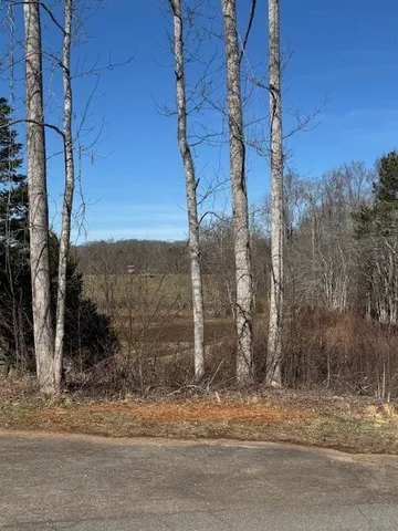 a view of a road with a snow on the road