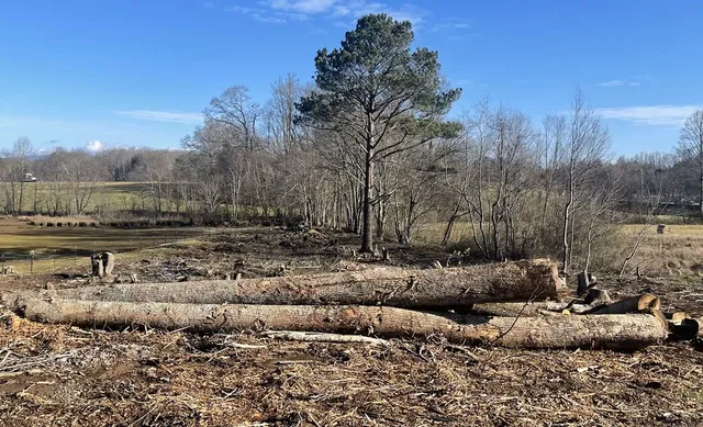 a view of a large green field