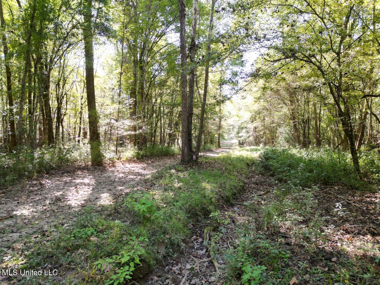 9200 Sawmill Road Hermanville, MS 39086 - Photo 12 of 43 DJI_0101 Large