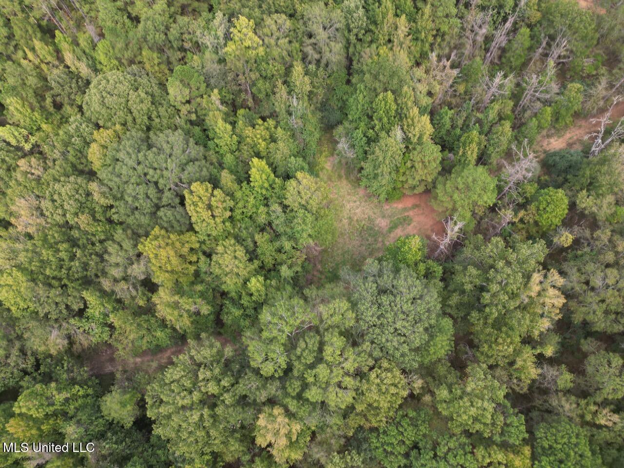 9200 Sawmill Road Hermanville, MS 39086 - Photo 17 of 43 DJI_0043 Large
