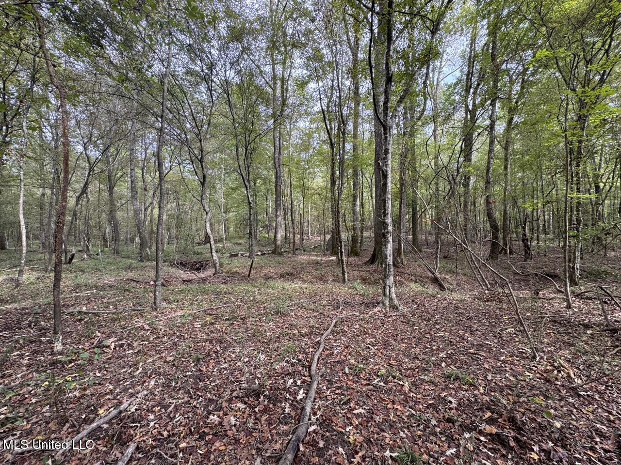 9200 Sawmill Road Hermanville, MS 39086 - Photo 24 of 43 IMG_9255 Large