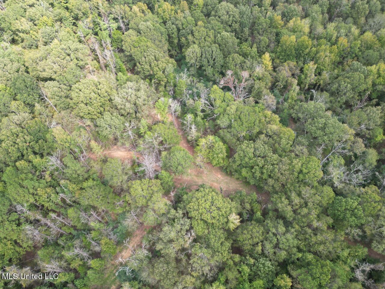 9200 Sawmill Road Hermanville, MS 39086 - Photo 3 of 43 DJI_0045 Large