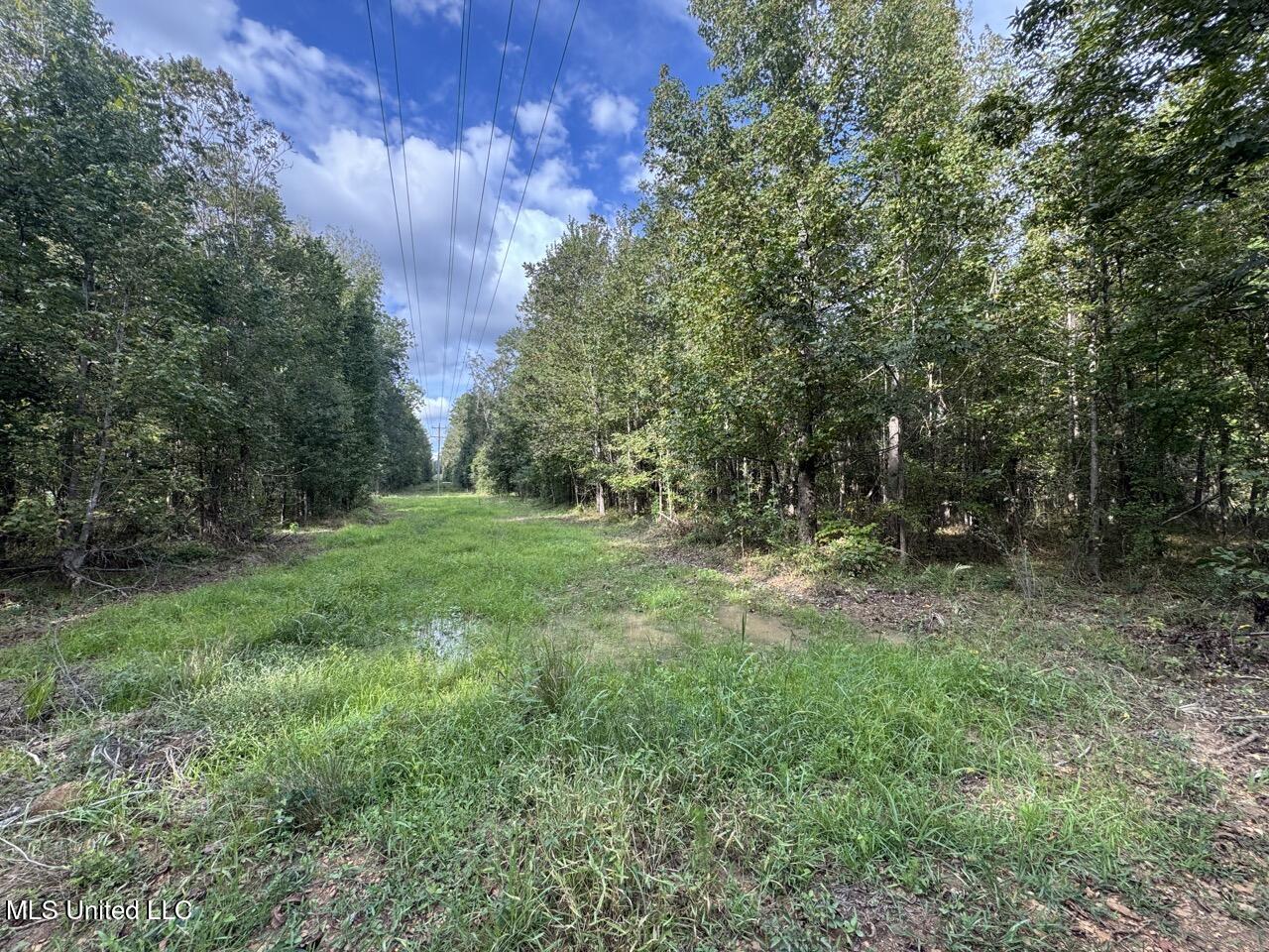 9200 Sawmill Road Hermanville, MS 39086 - Photo 39 of 43 IMG_9277 Large