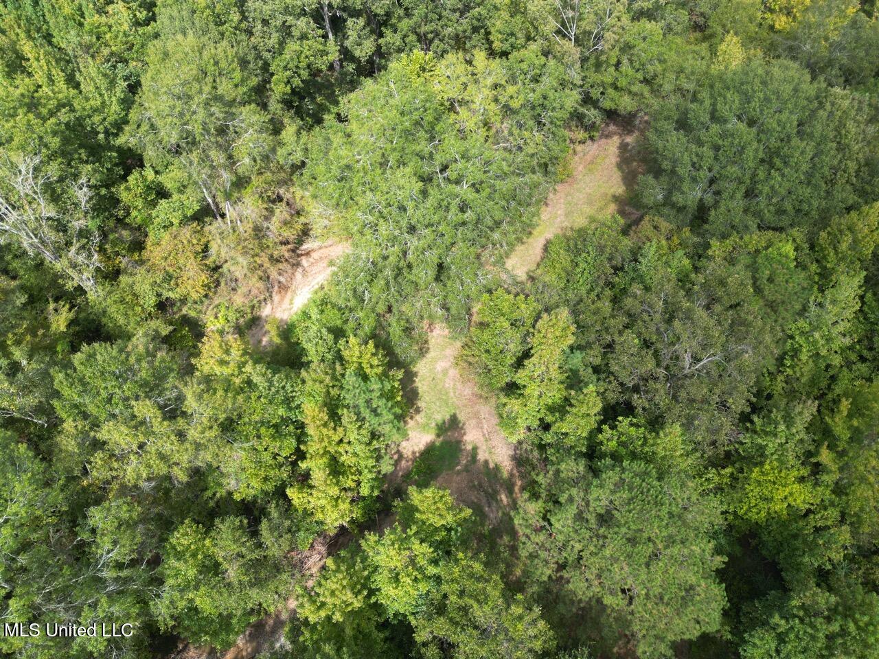 9200 Sawmill Road Hermanville, MS 39086 - Photo 4 of 43 DJI_0047 Large