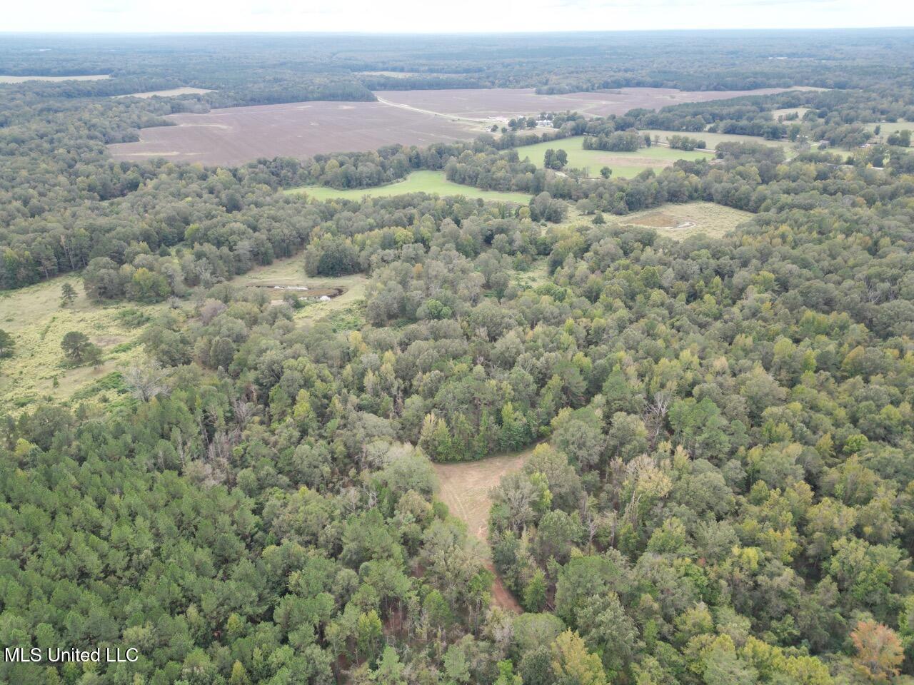9200 Sawmill Road Hermanville, MS 39086 - Photo 7 of 43 DJI_0061 Large