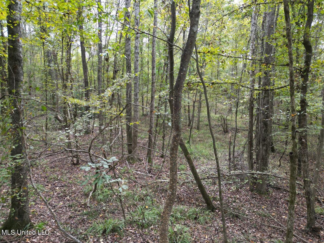 9200 Sawmill Road Hermanville, MS 39086 - Photo 8 of 43 DJI_0064 Large