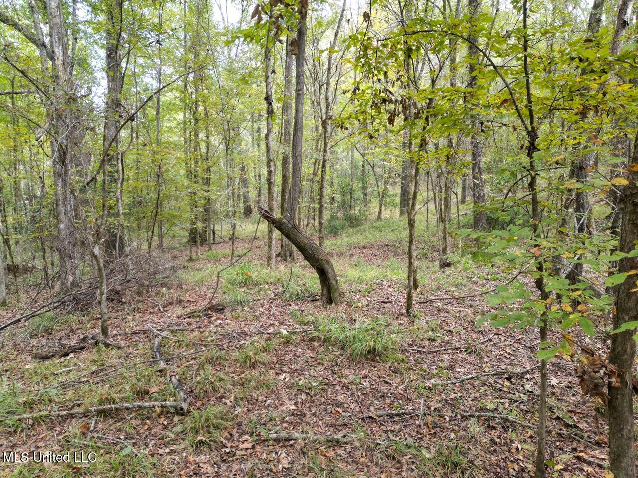 9200 Sawmill Road Hermanville, MS 39086 - Photo 9 of 43 DJI_0065 Large