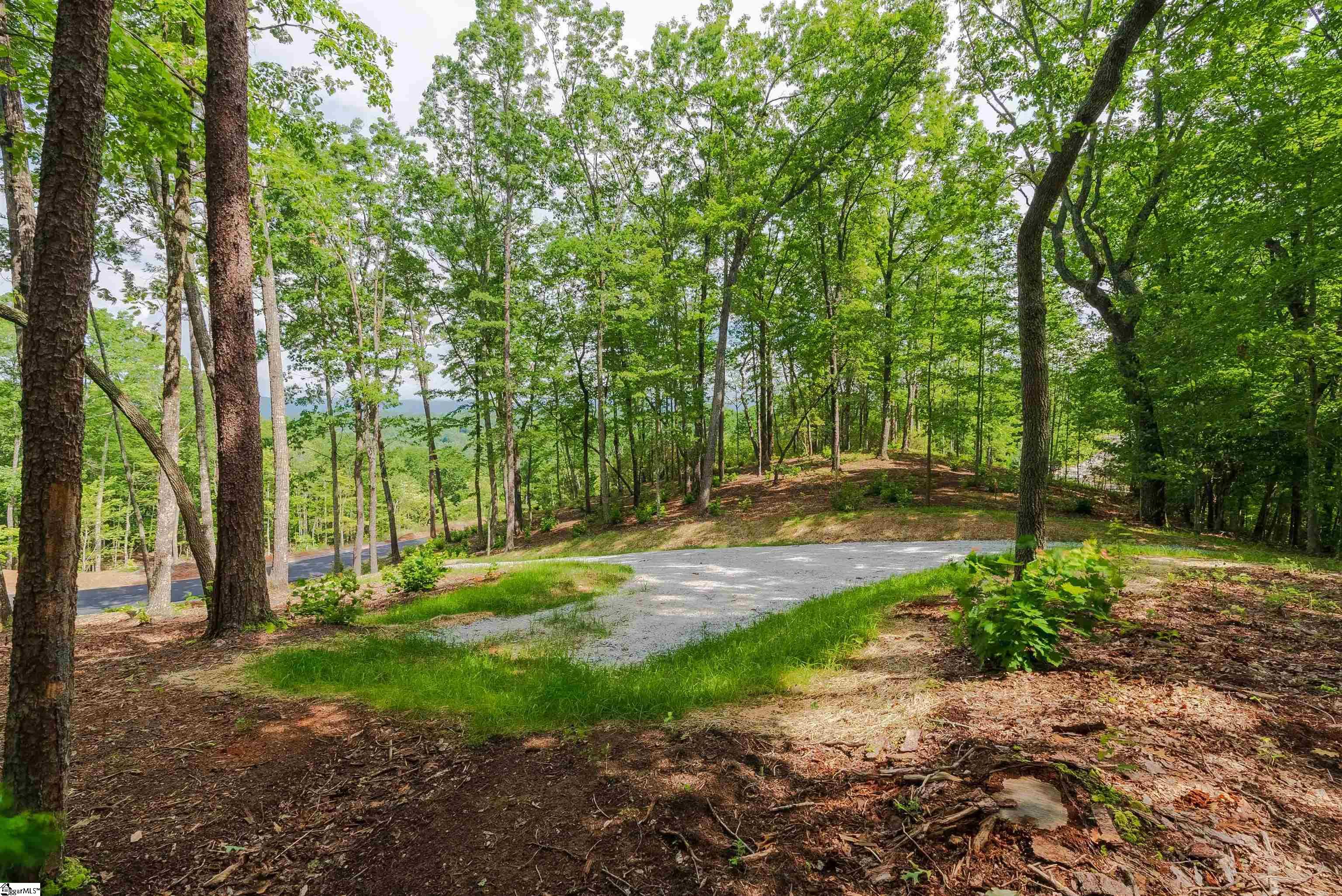 167 Cherokee Rose Trail Marietta, SC 29661 - Photo 3 of 9
