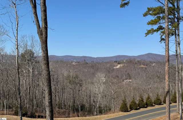 $725,000 | 167 Cherokee Rose Trail, Marietta, SC 29661