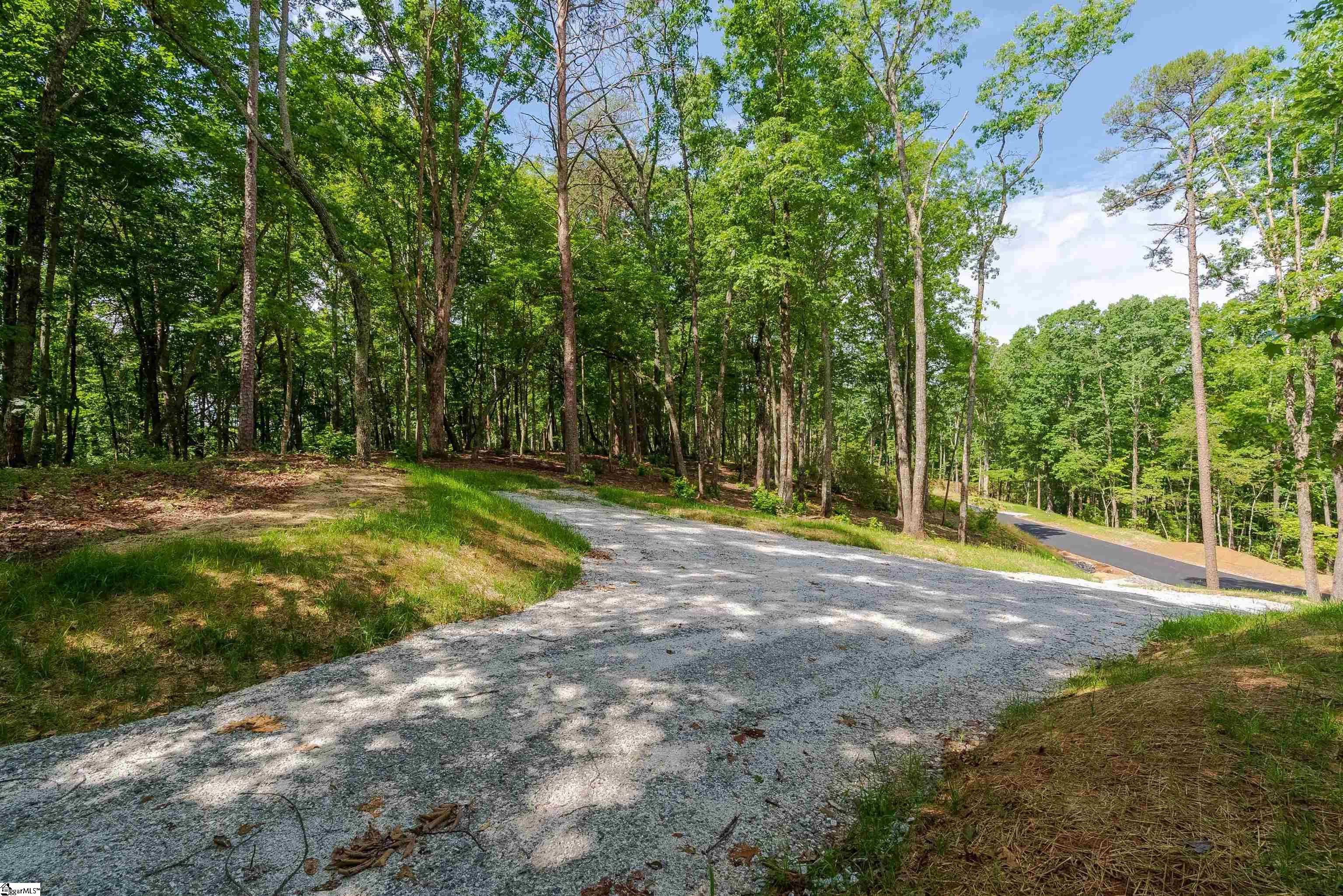 167 Cherokee Rose Trail Marietta, SC 29661 - Photo 4 of 9