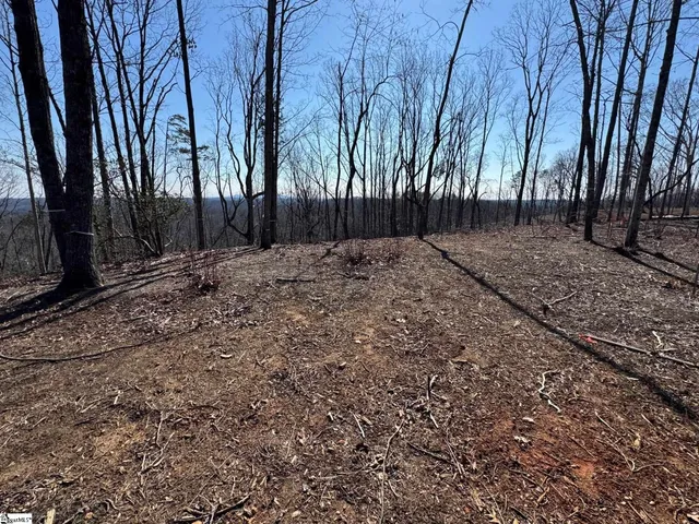 $725,000 | 167 Cherokee Rose Trail, Marietta, SC 29661