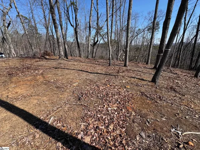 $725,000 | 167 Cherokee Rose Trail, Marietta, SC 29661