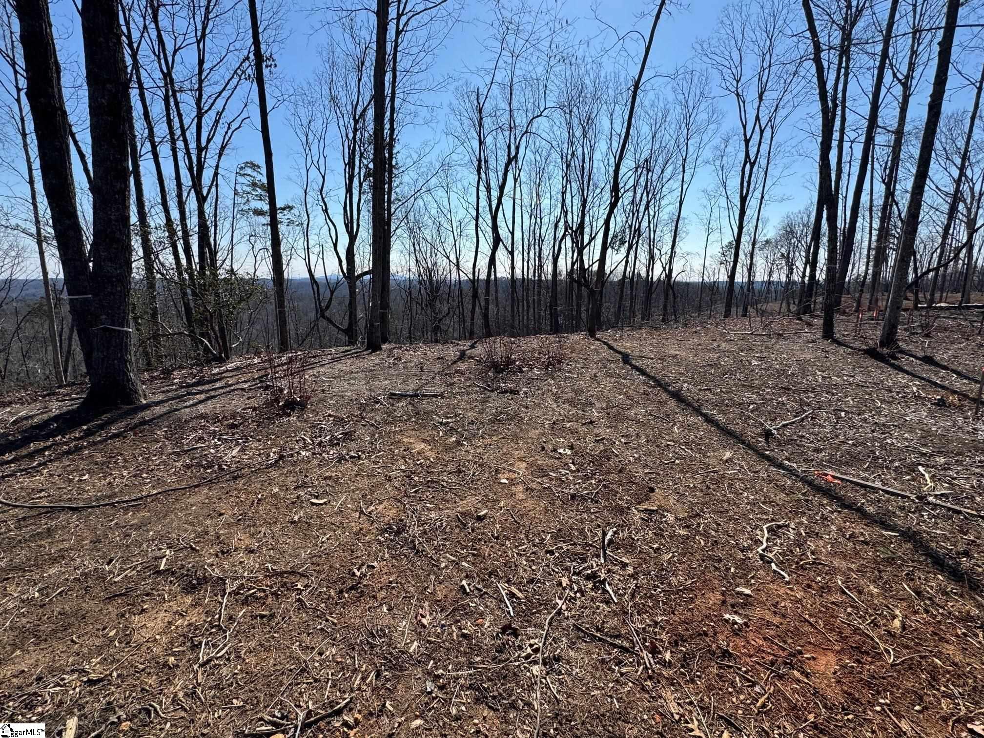 167 Cherokee Rose Trail Marietta, SC 29661 - Photo 7 of 9