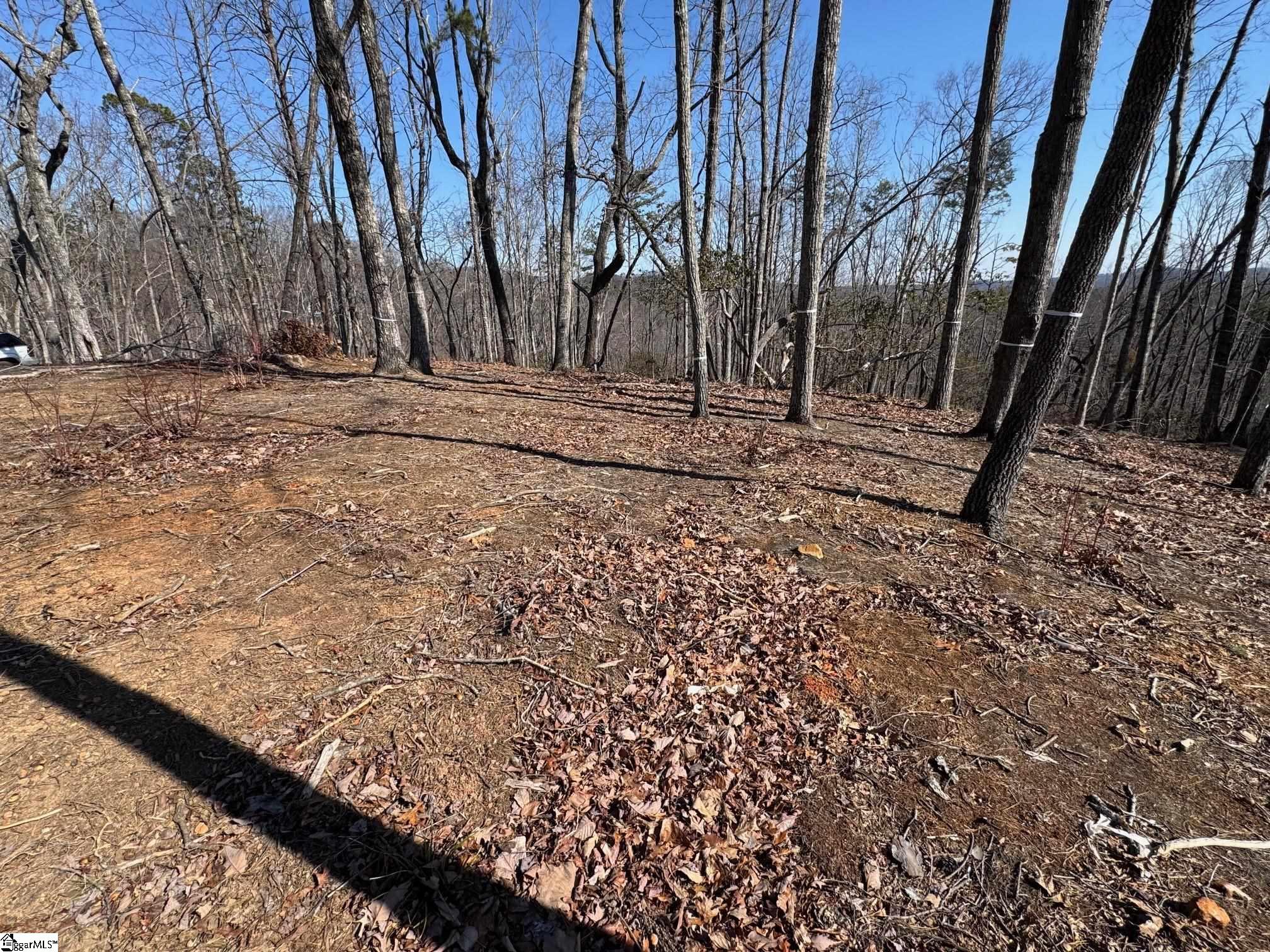 167 Cherokee Rose Trail Marietta, SC 29661 - Photo 8 of 9