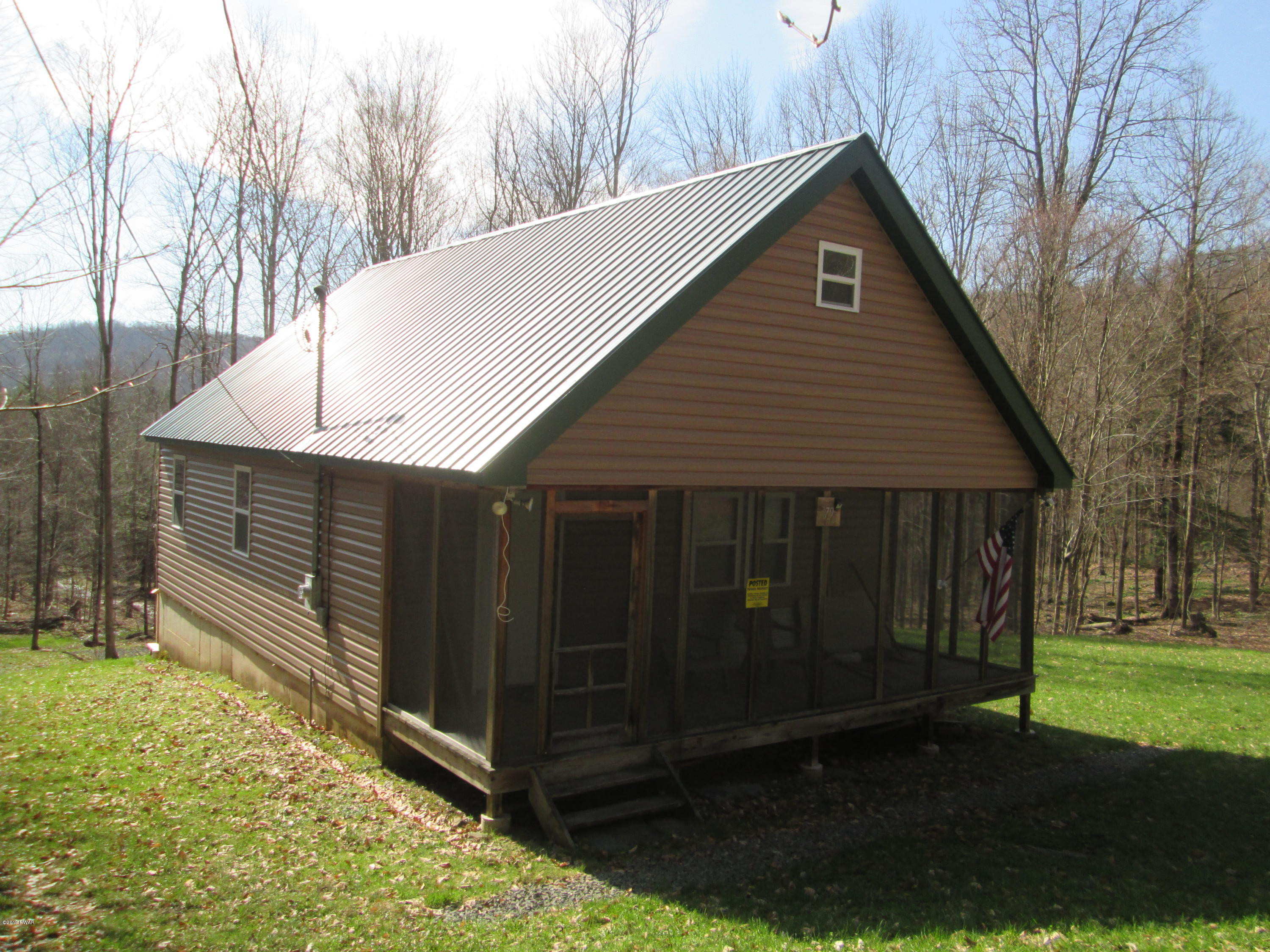 79 Wilderness Road Starrucca, PA 18462 - Photo 1 of 18 IMG_2046