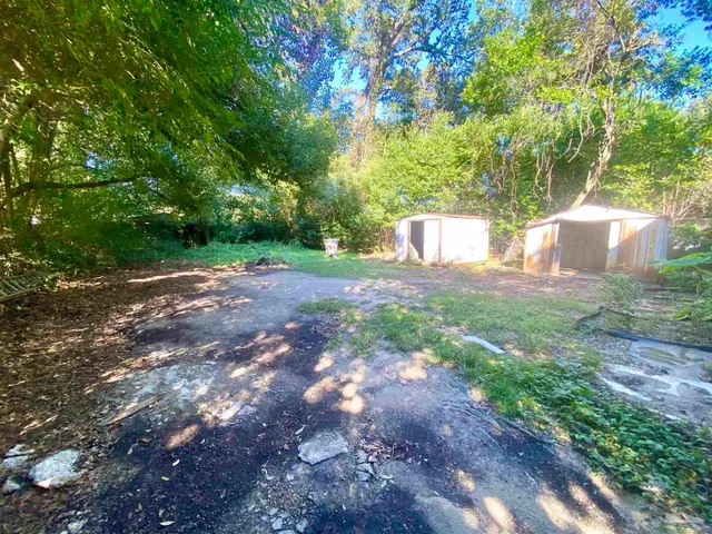 a view of a big yard with plants and large trees