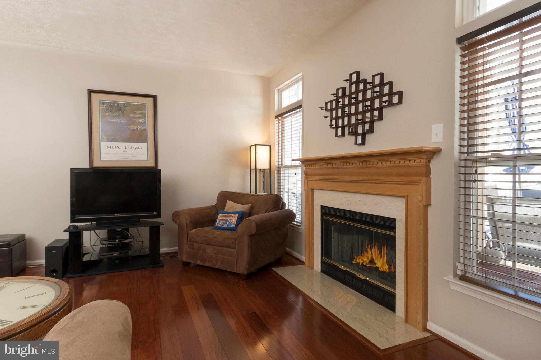 7708 Rotherham Drive Hanover, MD 21076 - Photo 10 of 26 Family Room with Wood Burning Fireplace