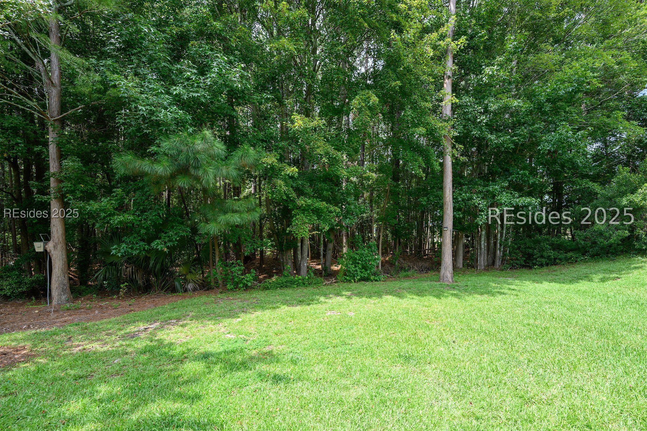 50 Purry Circle Bluffton, SC 29909 - Photo 5 of 40 Backing to woods