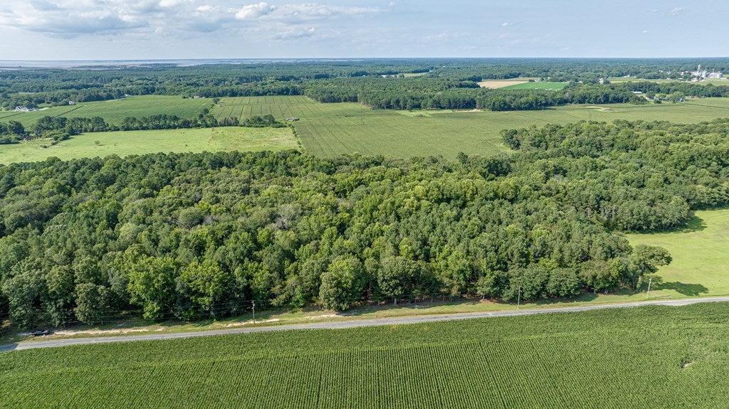 1-6 Hurst Store Road, Unit 16 Greenbush, VA 23357 - Photo 35 of 44 Gallery Image 35
