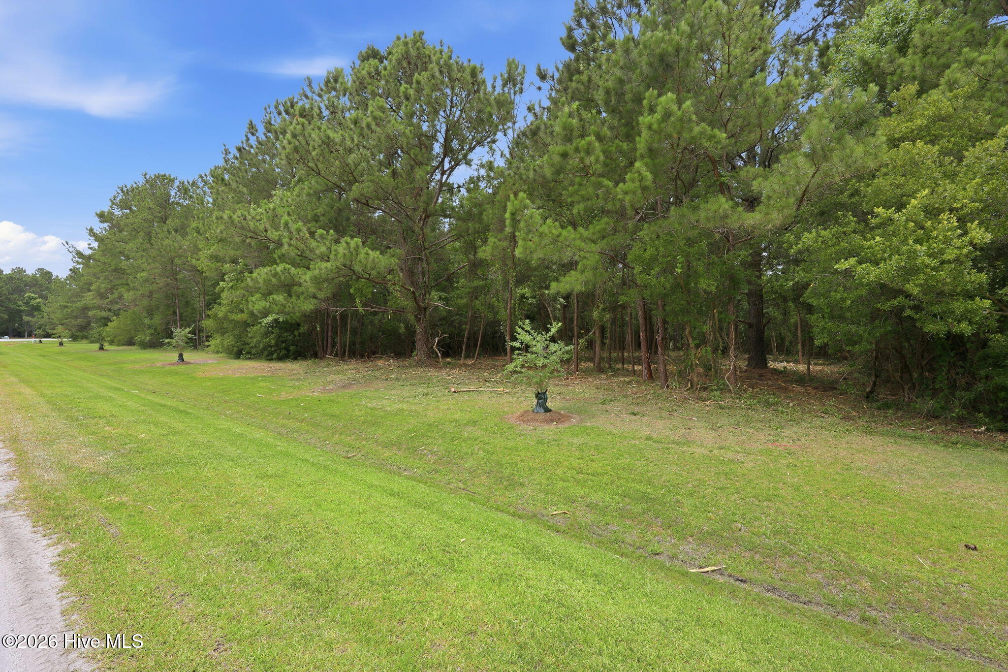 240 Silver Acres Road Merritt, NC 28556 - Photo 10 of 20