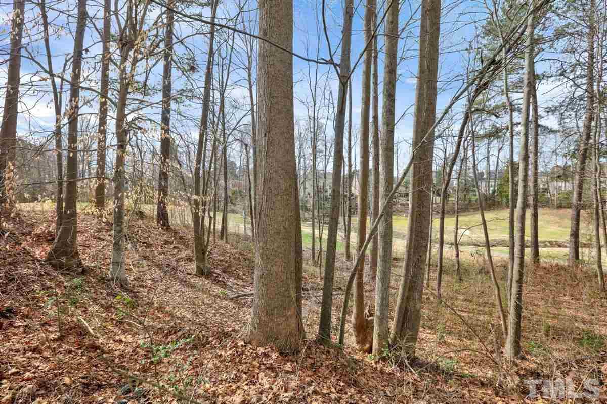 12317 Beestone Lane Raleigh, NC 27614 - Photo 27 of 30 a view of a yard of the house