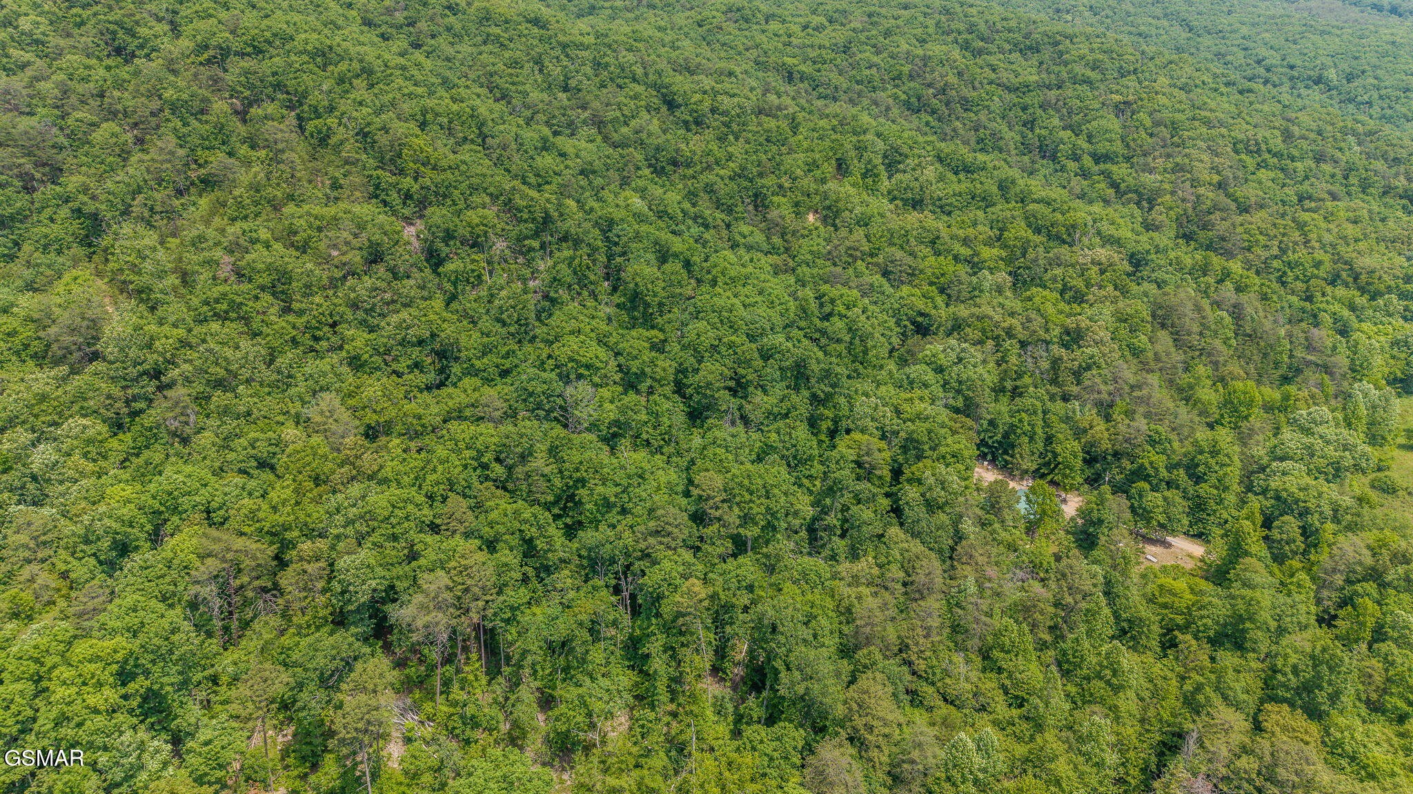 0 Poor Valley Road Rutledge, TN 37861 - Photo 9 of 9