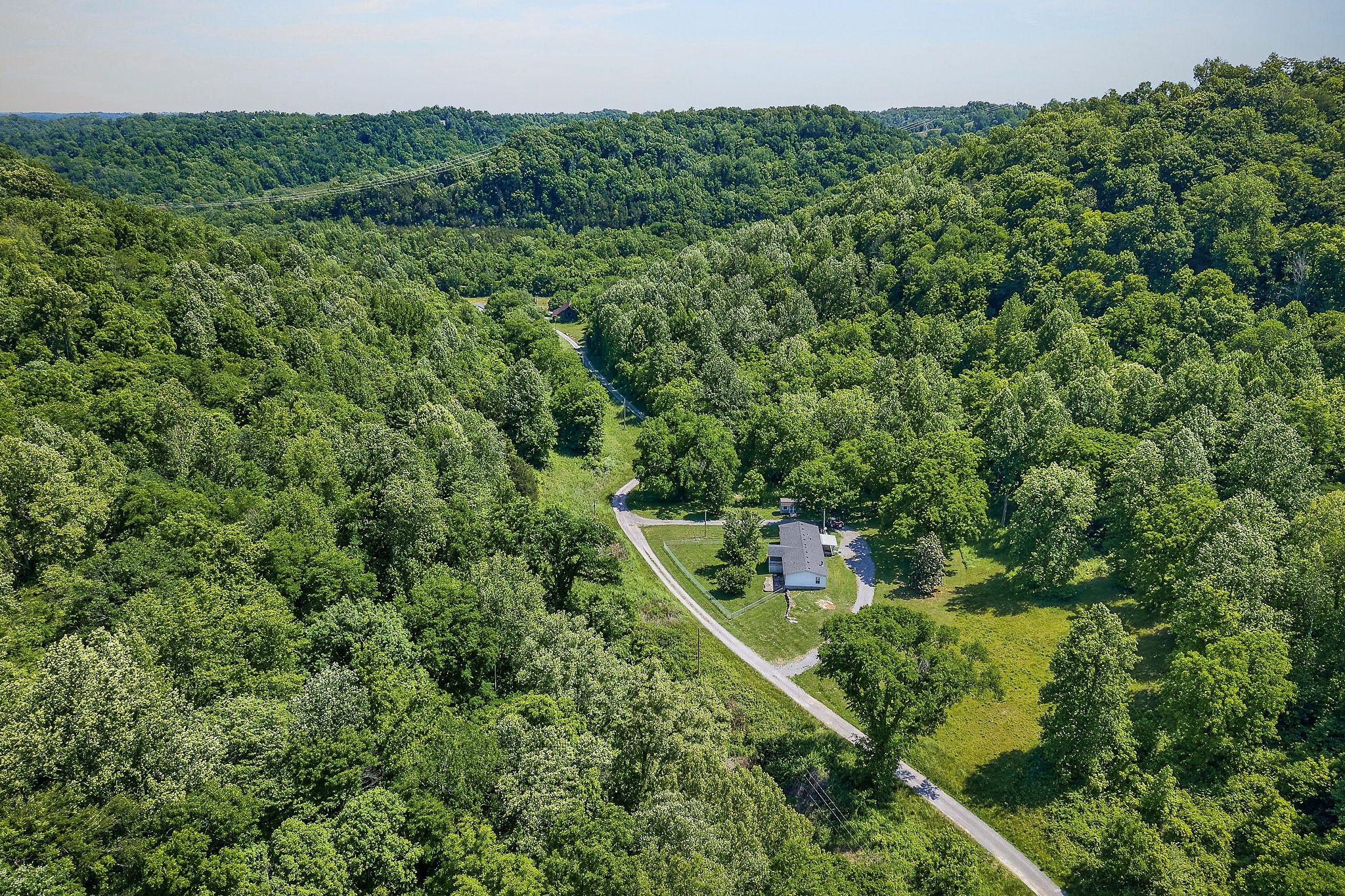 16130 Buffalo Valley Road Silver Point, TN 38582 - Photo 9 of 47 a view of a yard with plants