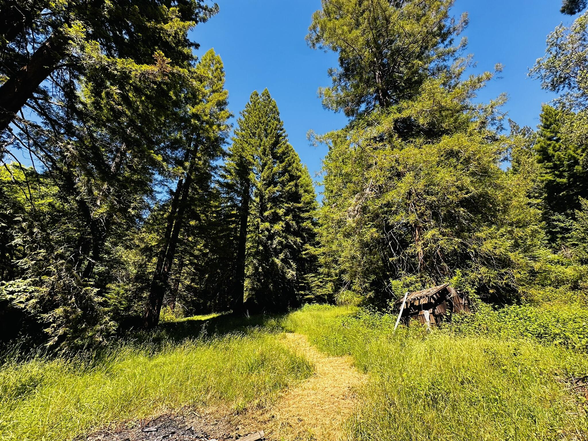 2675 Briceland Road Redway, CA 95560 - Photo 103 of 113 IMG_1325