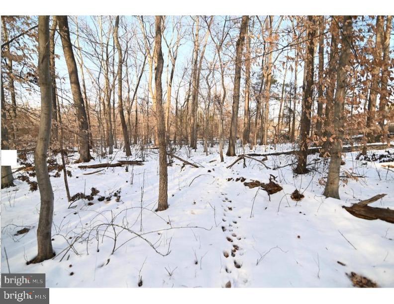 a view of open space with yard