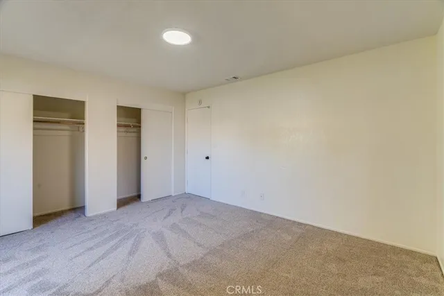 a close view of a garden from a window