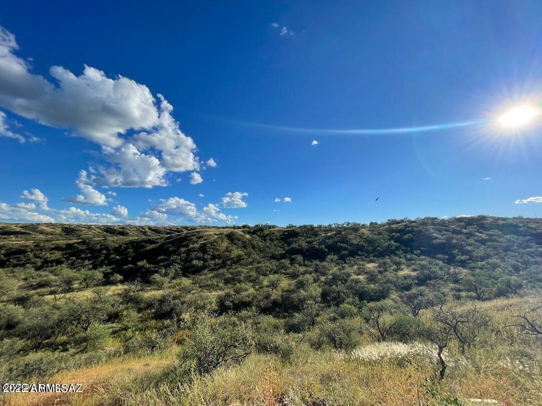 377 Paseo Picamaderos Rio Rico, AZ 85648 - Photo 19 of 22 20220914004448982849000000-o