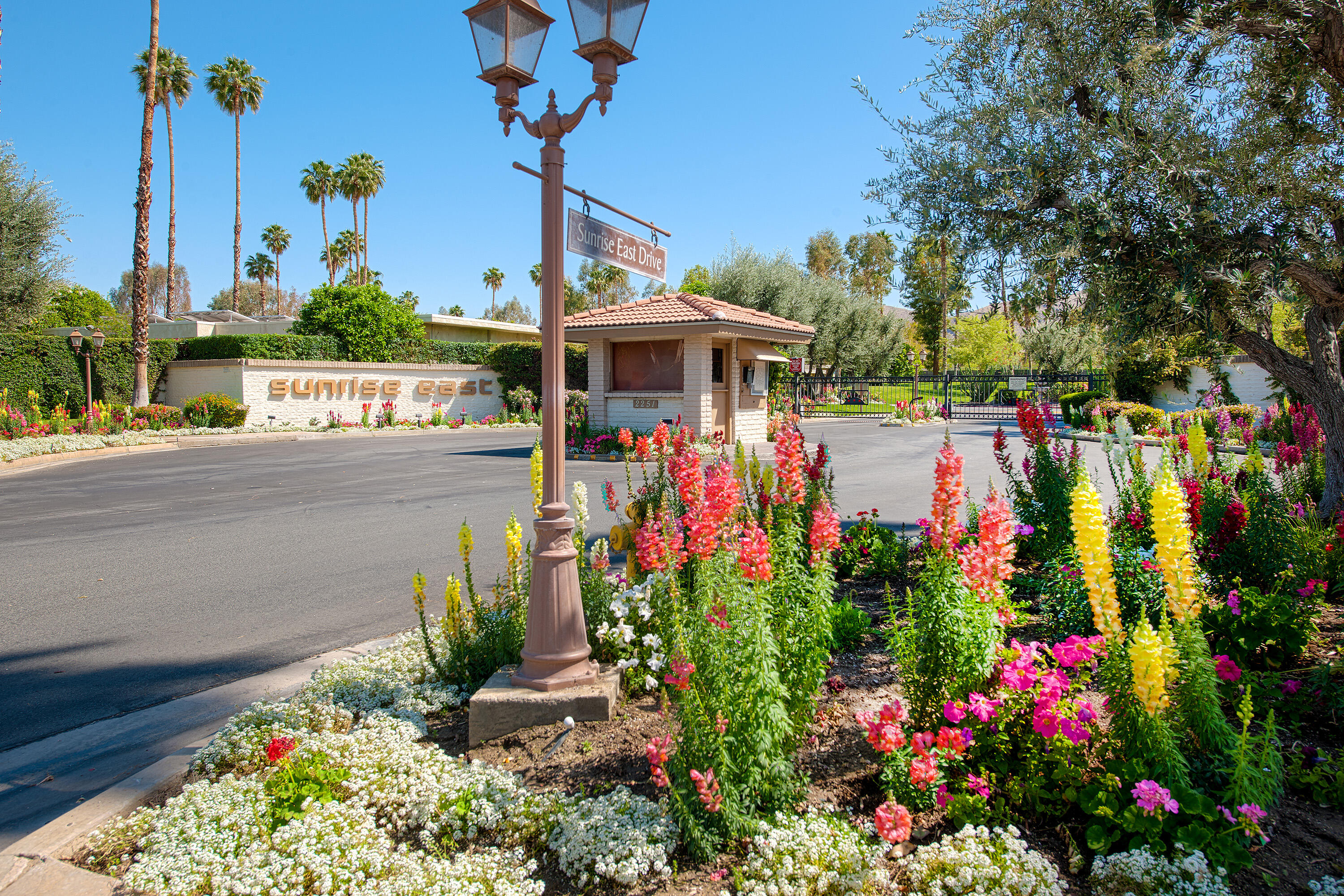 2264 Oakcrest Drive Palm Springs, CA 92264 - Photo 16 of 19 a view of a house with a yard and garden