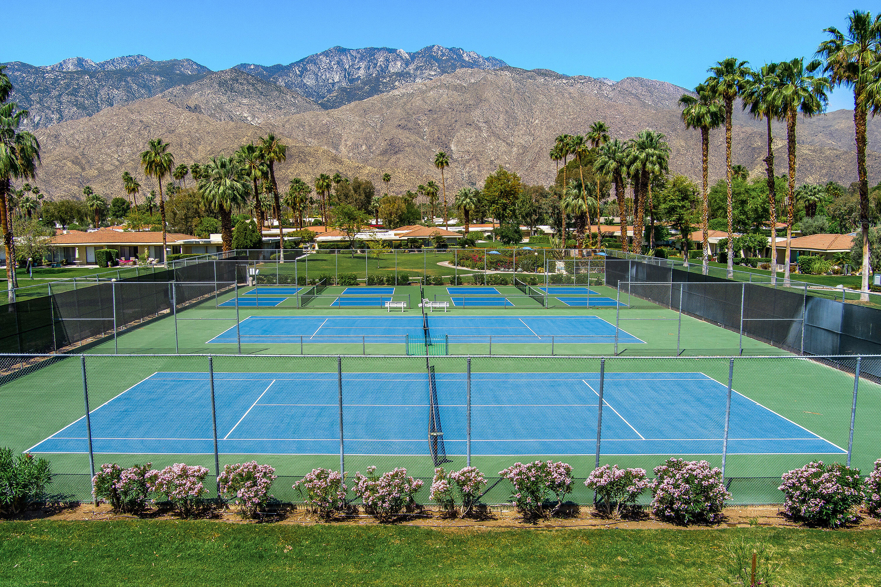 2264 Oakcrest Drive Palm Springs, CA 92264 - Photo 19 of 19 a view of a backyard