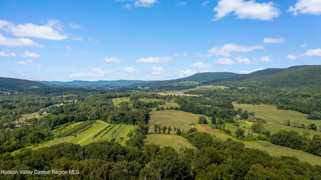 a view of a city with lush green forest