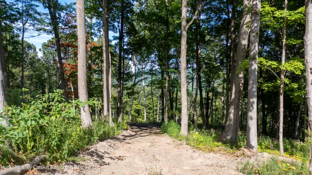 a view of a road with a yard