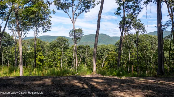 a view of a yard with large trees