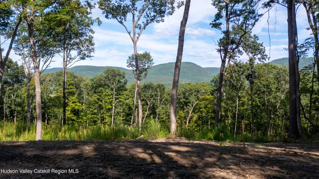 a view of a yard with large trees