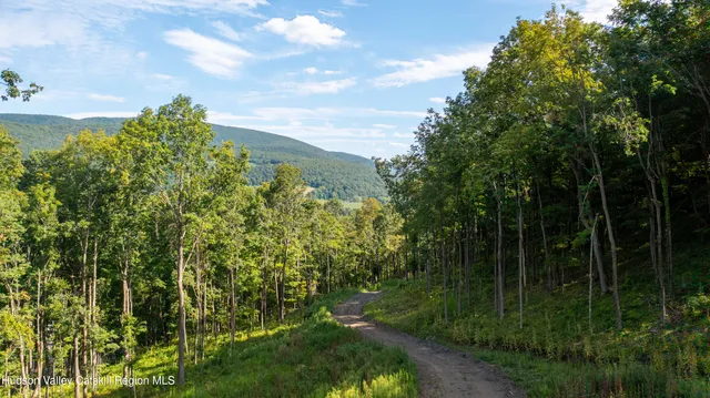 a view of a bunch of trees